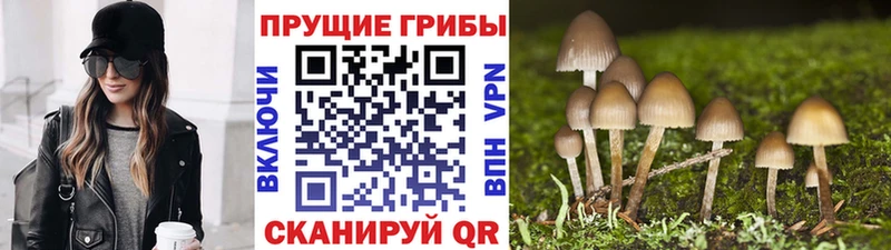 Псилоцибиновые грибы прущие грибы  Лукоянов 